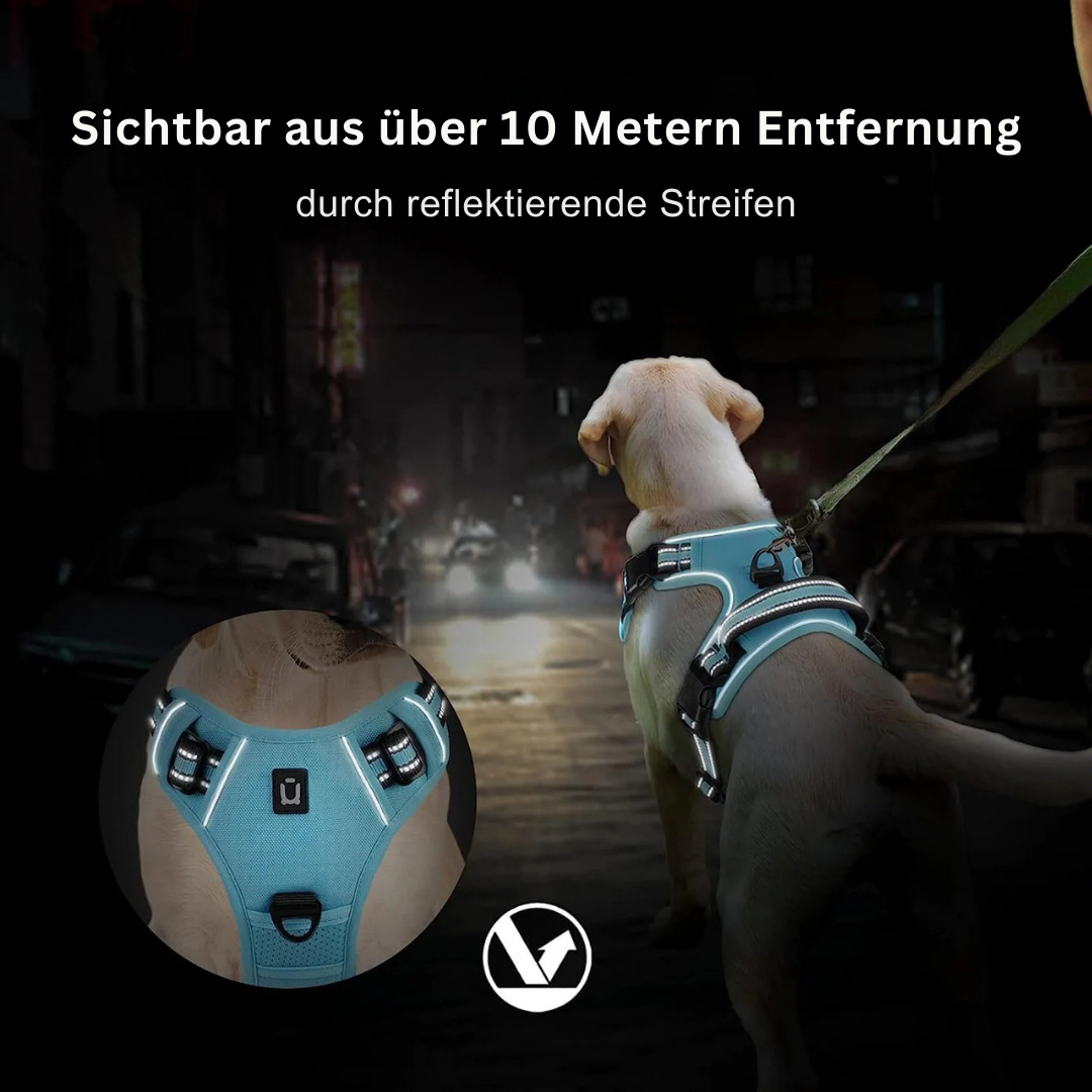 KomfortFit™ Hundegeschirr – Anti-Zug, gepolstert & verstellbar