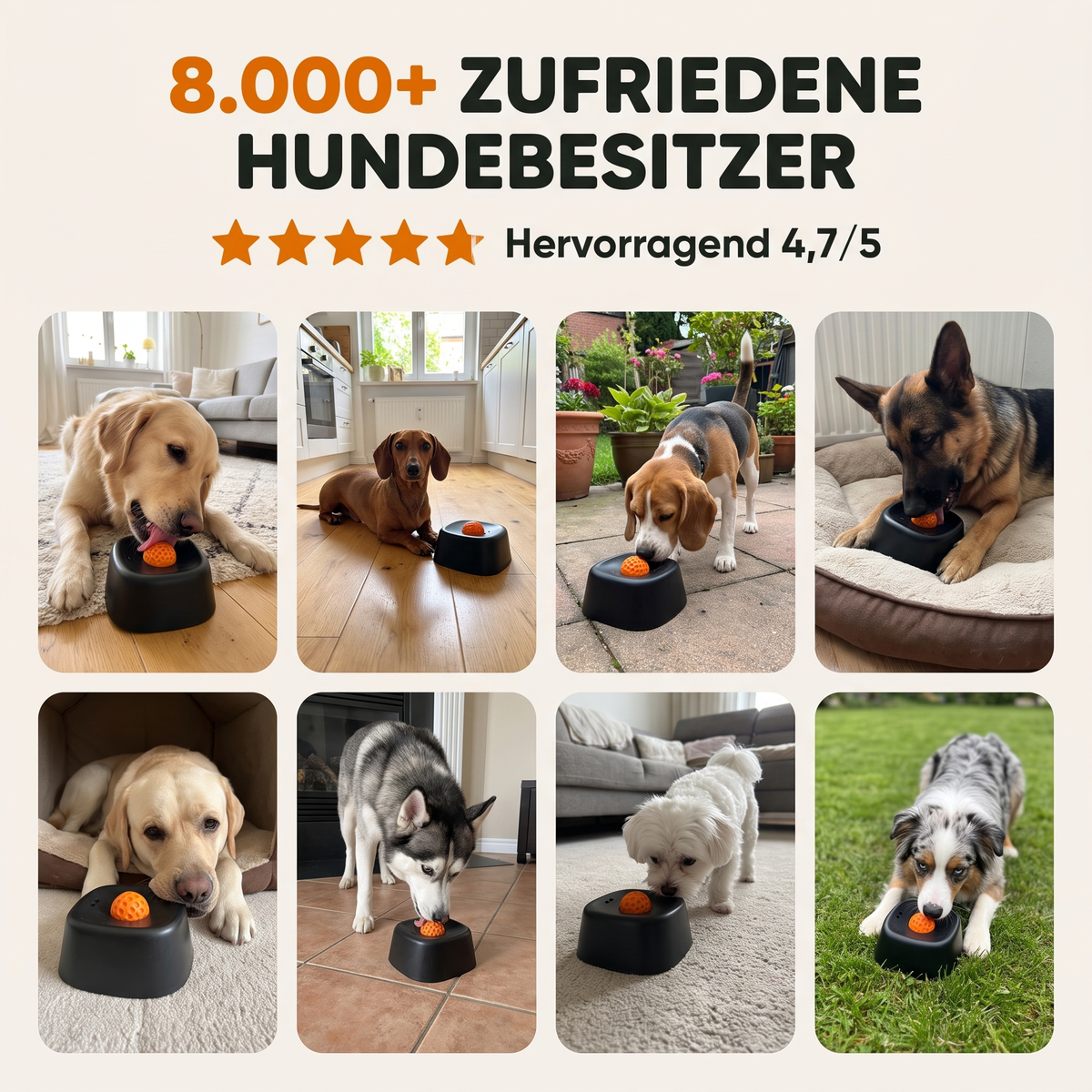 Der Schlecki