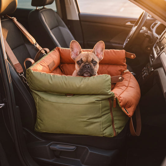 Pfötchen Lounge – 2-in-1 Hundeautositz & Hundebett