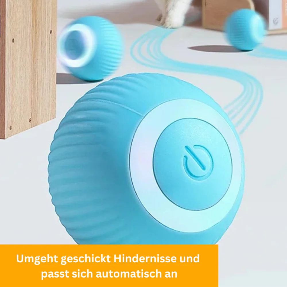 Clever Roll - smartes Spielzeug