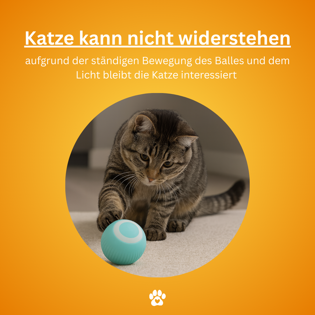 Clever Roll™ - das Original