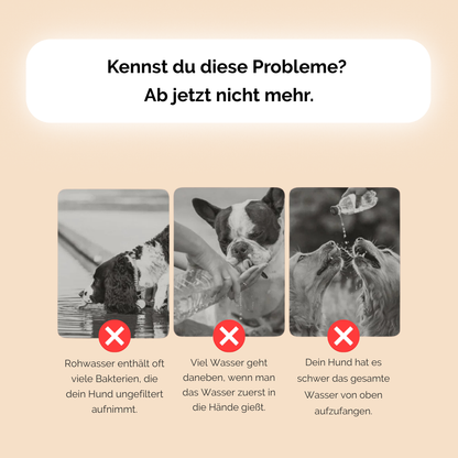 Portable Hundetrinkflasche