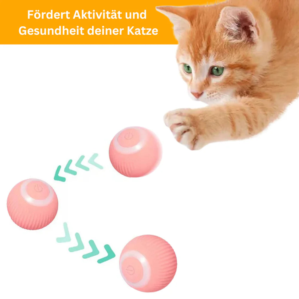 Clever Roll - smartes Spielzeug