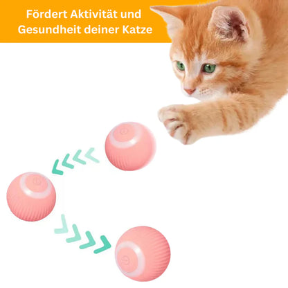 Clever Roll - smartes Spielzeug