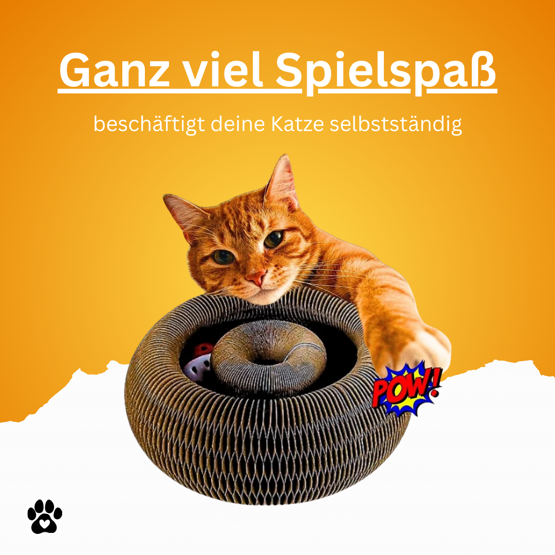 KratzOrgel™ das Original