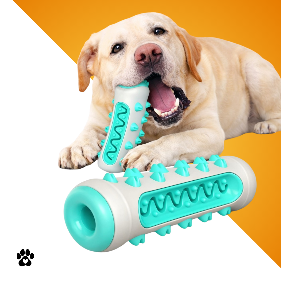Dental-Kau-Stick für Hunde & Welpen – Kauspielzeug zur Zahnpflege