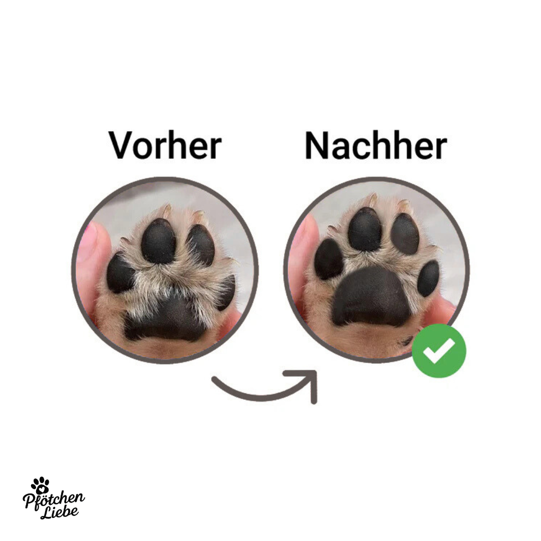 Pfotentrimmer - Sicher & Leise