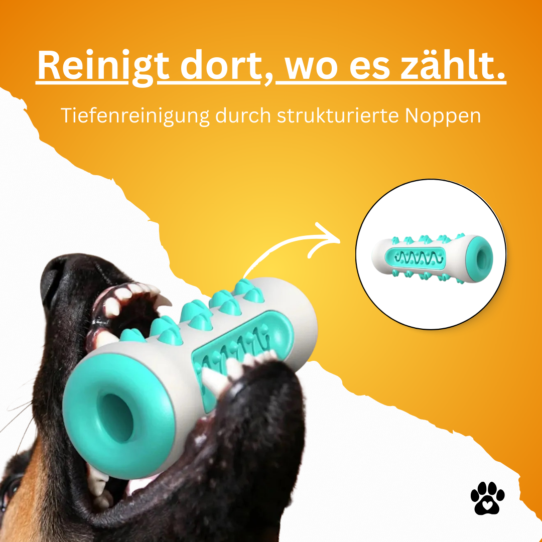 Dental-Kau-Stick für Hunde & Welpen – Kauspielzeug zur Zahnpflege