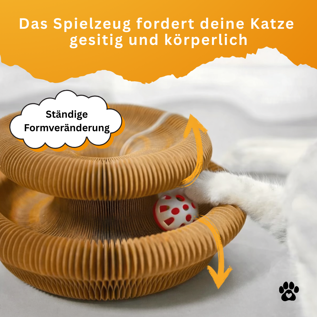 KratzOrgel™ das Original