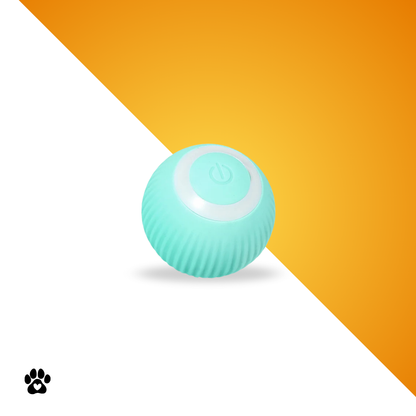 Clever Roll™ - das Original