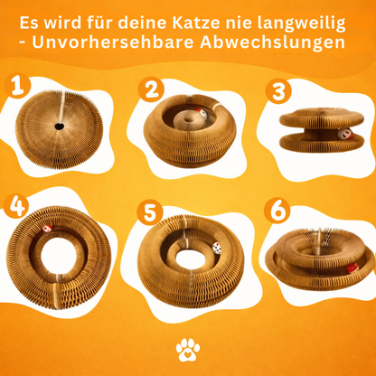 KratzOrgel™ das Original
