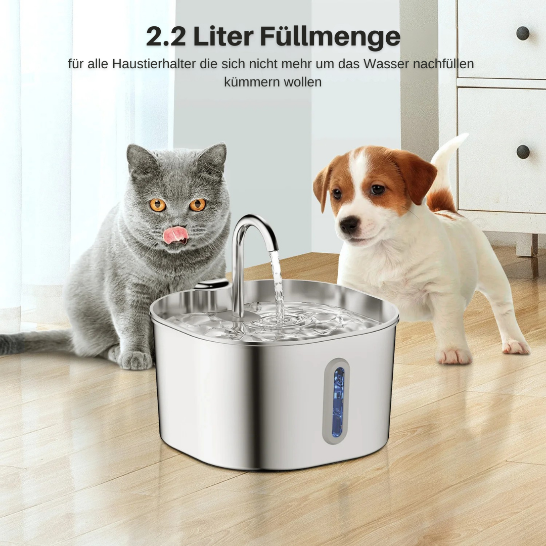 Edelstahl Trinkbrunnen - automatisch & rostfrei