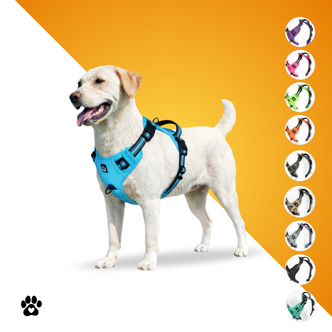 KomfortFit™ Hundegeschirr – Anti-Zug, gepolstert & verstellbar