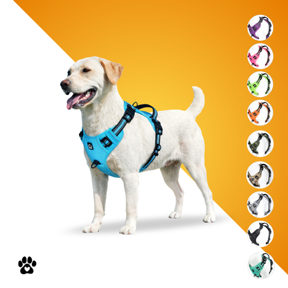 KomfortFit™ Hundegeschirr – Anti-Zug, gepolstert & verstellbar