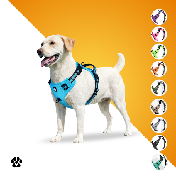 KomfortFit™ Hundegeschirr – Anti-Zug, gepolstert & verstellbar