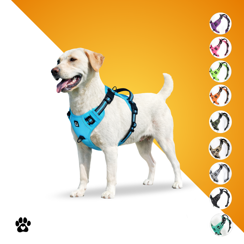 KomfortFit™ Hundegeschirr – Anti-Zug, gepolstert & verstellbar