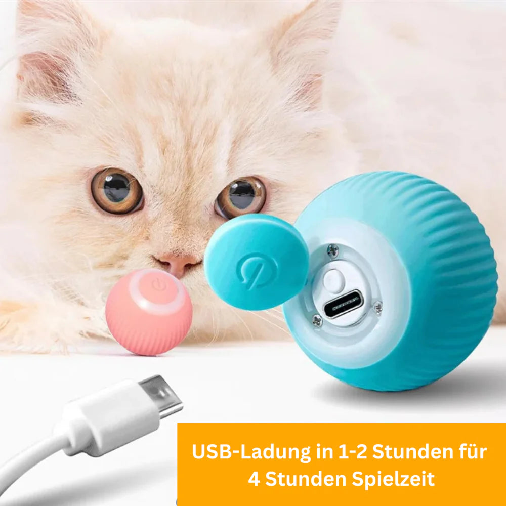 Clever Roll - smartes Spielzeug