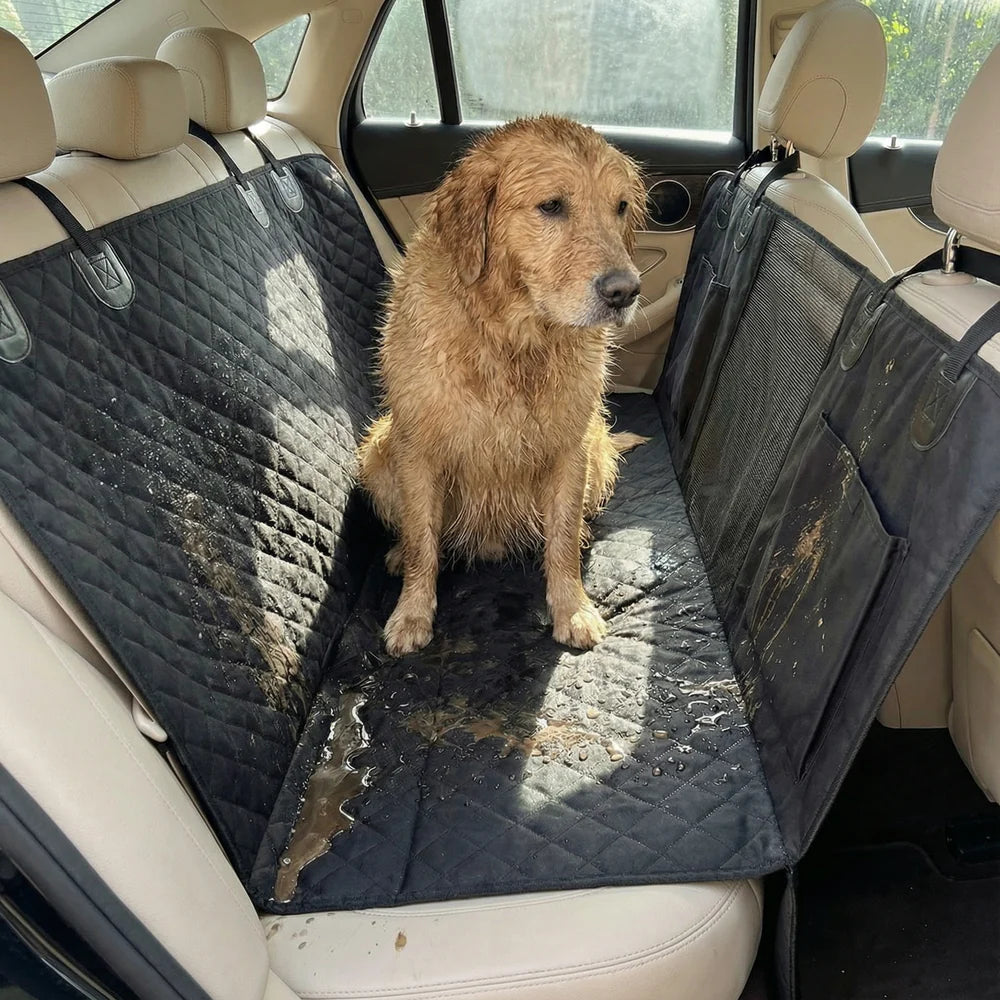 Pfotendeck Premium Rücksitzschutz