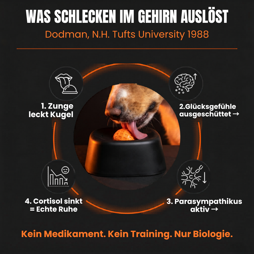 Der Schlecki