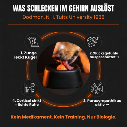 Der Schlecki