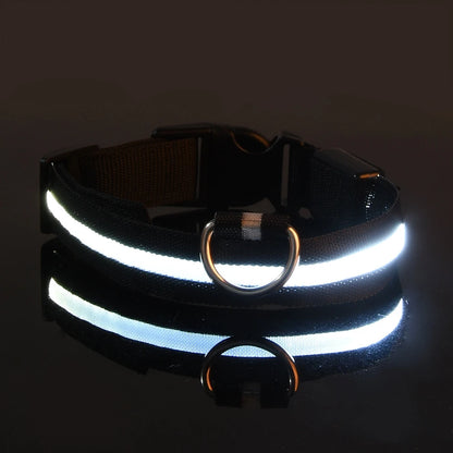 LightUp - das Halsband um ihn im Blick zu behalten