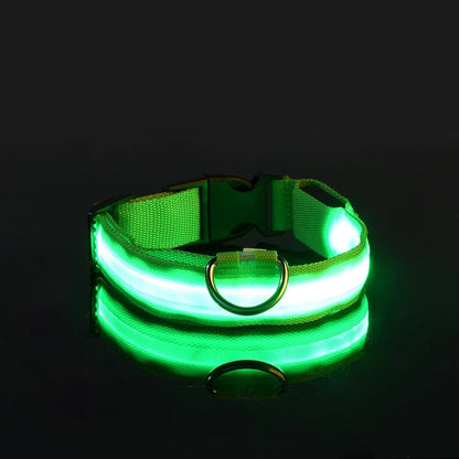 LightUp - das Halsband um ihn im Blick zu behalten