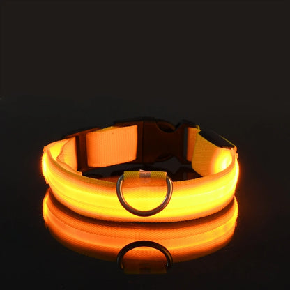 LightUp - das Halsband um ihn im Blick zu behalten