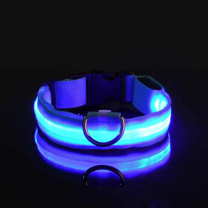 LightUp - das Halsband um ihn im Blick zu behalten