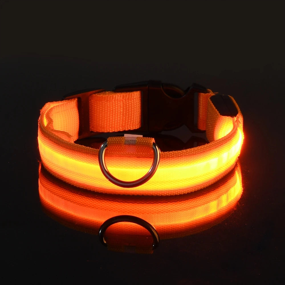 LightUp - das Halsband um ihn im Blick zu behalten