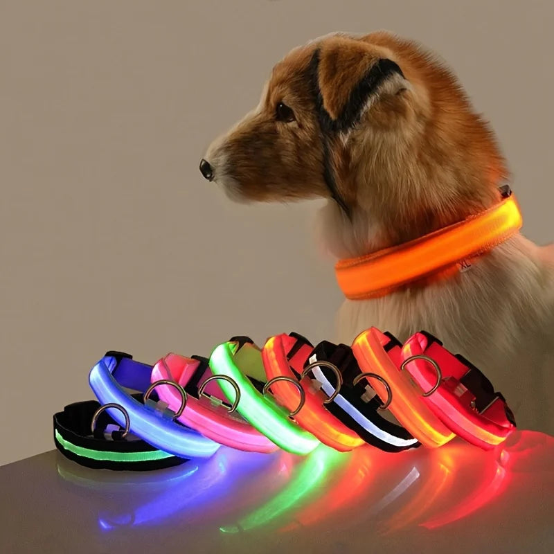 LightUp - das Halsband um ihn im Blick zu behalten