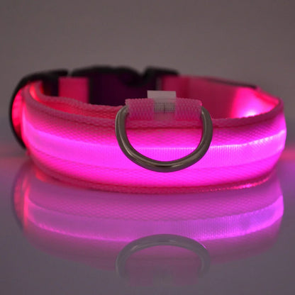 LightUp - das Halsband um ihn im Blick zu behalten