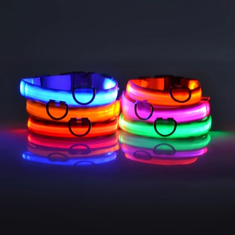 LightUp - das Halsband um ihn im Blick zu behalten