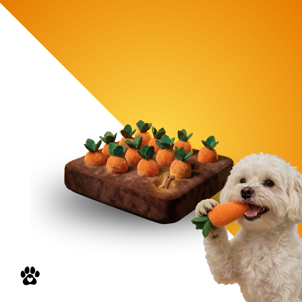 Schnüffelfeld - das interaktive Suchspiel