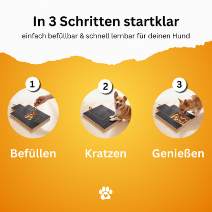 Scratchi