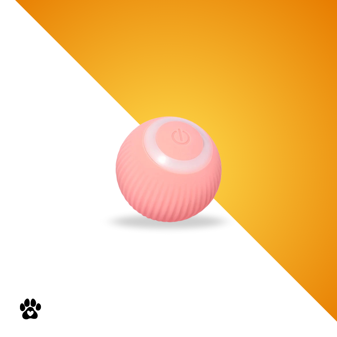 Clever Roll™ - das Original