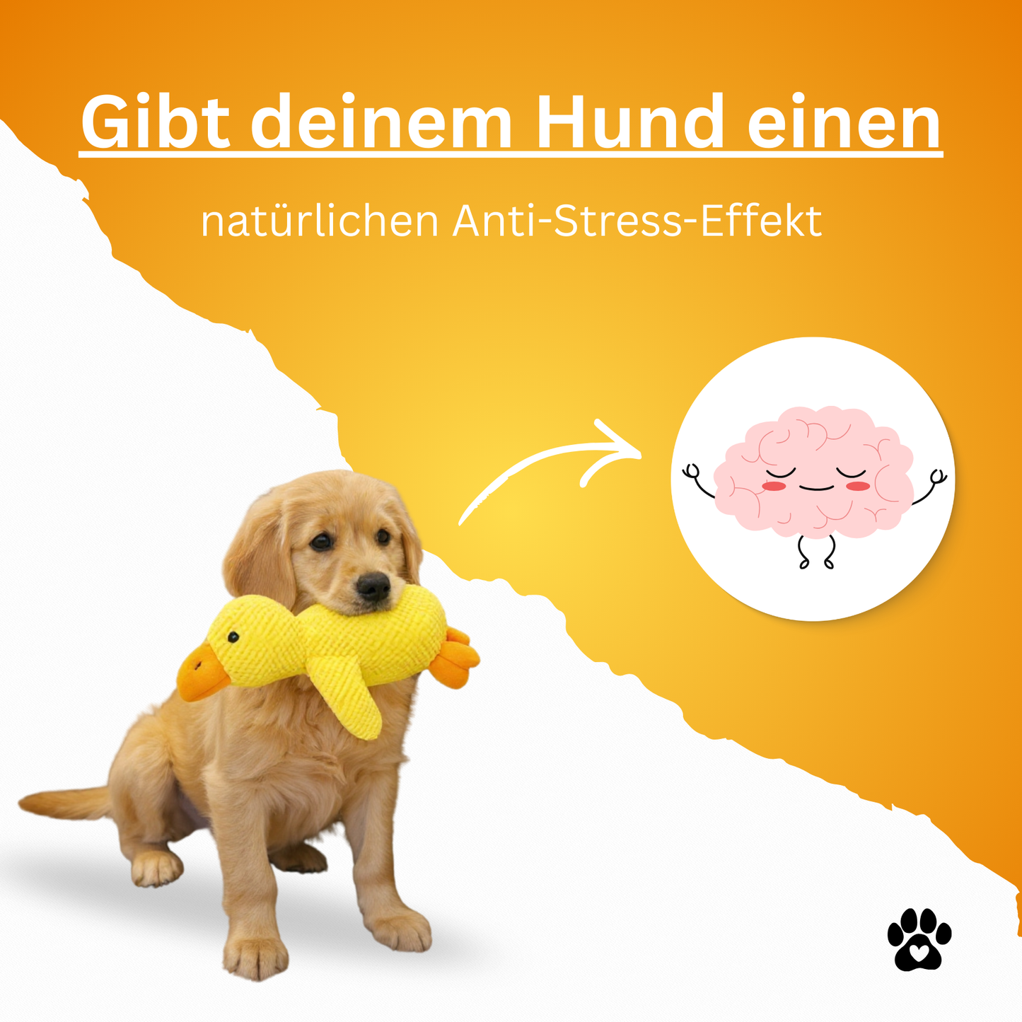 Anti-Stress-Ente