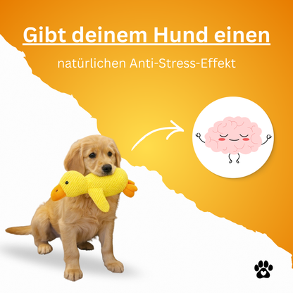 Anti-Stress-Ente