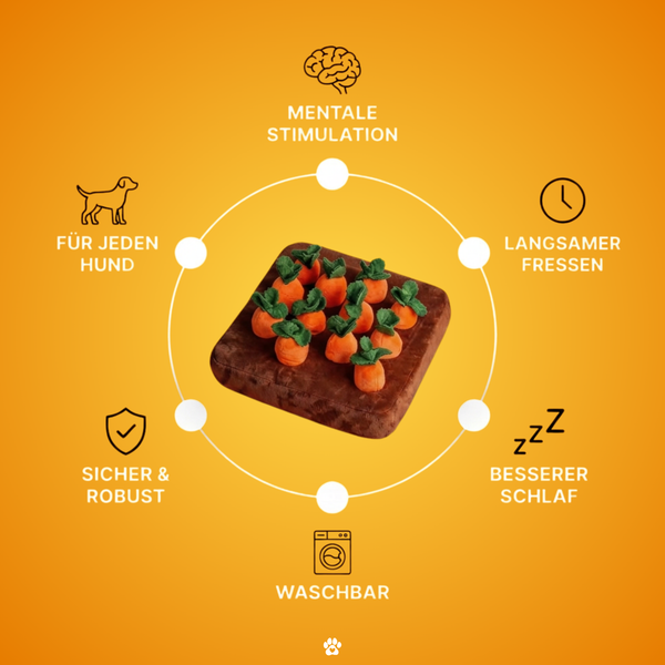 Schnüffelfeld - das interaktive Suchspiel
