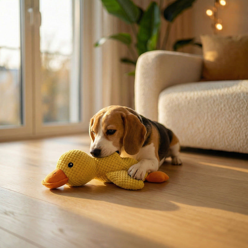 Anti-Stress-Ente