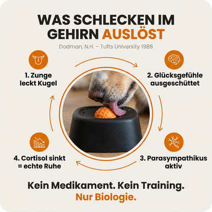Der Schlecki