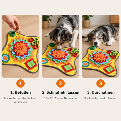 Anwendung in drei Schritten